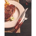 Ver imagem 4 de Jogo de Talheres para Churrasco Tramontina em Aço Inox com Cabo Vermelho Polywood 12 Peças