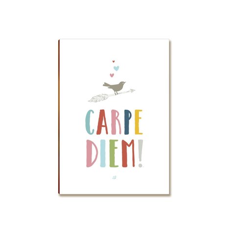 Placa MDF Carpe Diem Decoração Frase Inspiradora A4 FS2