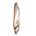 Ver imagem 2 de Espelho Orgânico Vegas M com Borda em Lamina Madeira Natural