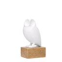 Ver imagem 1 de Escultura Coruja em Poliresina 23614 Mart