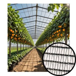 Tela P/ Pomar Horta Jardinagem Média/padrão Preta 3x40m - 2