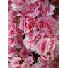 Árvore Flores de Cerejeiras Curvada Grande de Decoração - 3