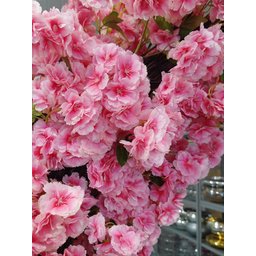 Árvore Flores de Cerejeiras Curvada Grande de Decoração - 2