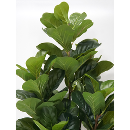 Arvore Verde Folhagem Planta Ficus Lyrata 120cm - 5