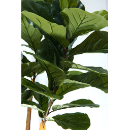 Arvore Verde Folhagem Planta Ficus Lyrata 120cm - 4