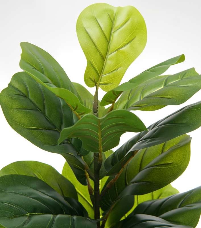 Arvore Verde Folhagem Planta Ficus Lyrata 120cm - 3