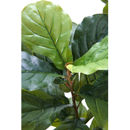 Arvore Verde Folhagem Planta Ficus Lyrata 120cm - 2