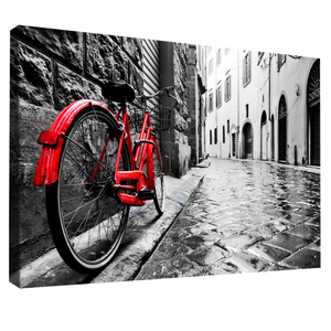 Quadro Decorativo Bicicleta Vermelha