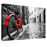 Quadro Decorativo Bicicleta Vermelha - 1
