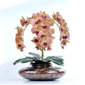 Arranjo 4 Orquídeas Artificiais Outonadas em Terrário Pri