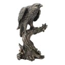 Ver imagem 1 de Falcão Peregrino Veronese 77674 Bronzeada