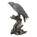 Ver imagem 3 de Falcão Peregrino Veronese 77674 Bronzeada