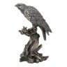 Falcão Peregrino Veronese 77674 Bronzeada - 3