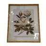 Quadro Tela Vidro Desenhos Moldura Bamboo Fk Arte:1 Passaro - 7