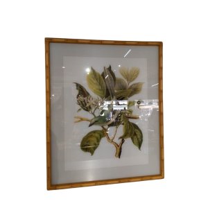 Quadro Tela Vidro Desenhos Moldura Bamboo Fk Arte:1 Passaro