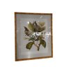 Quadro Tela Vidro Desenhos Moldura Bamboo Fk Arte:1 Passaro - 1