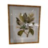 Quadro Tela Vidro Desenhos Moldura Bamboo Fk Arte:1 Passaro - 5