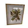 Quadro Tela Vidro Desenhos Moldura Bamboo Fk Arte:1 Passaro - 4