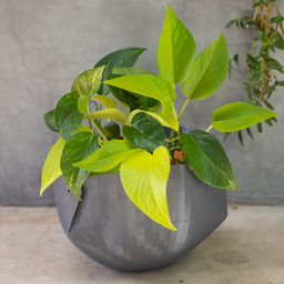 Vaso de planta suspenso Cumbuca - com dispenser - Cinza Chumbo - 1