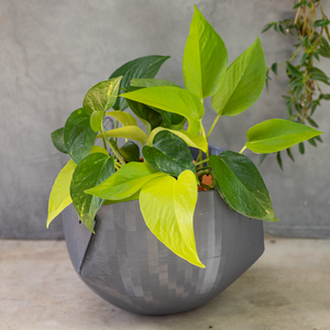 Vaso de planta suspenso Cumbuca - com dispenser - Cinza Chumbo