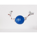 Ver imagem 2 de Brinquedo para Cães Bola Cristal Bone Lisa Azul com Laço Marrom 75mm