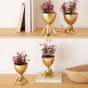 Ver imagem 2 de Vaso Decorativo Bob Robert Planta em Poliresina Dourado 14,5x11x10 cm - D’Rossi