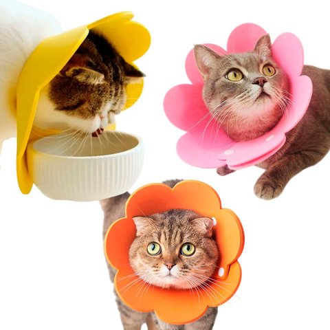 Colar Ellizabetano Cirurgia Gato Pet Caes Cone Ajustavel Dobravel Confortavel Anti Lambida Recuperaç