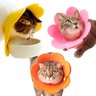 Colar Ellizabetano Cirurgia Gato Pet Caes Cone Ajustavel Dobravel Confortavel Anti Lambida Recuperaç - 1