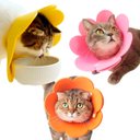 Ver imagem 1 de Colar Ellizabetano Cirurgia Gato Pet Caes Cone Ajustavel Dobravel Confortavel Anti Lambida Recuperaç