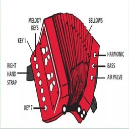 SANFONA MINI ACORDEON VERDE INFANTIL 3 BAIXOS GAITA ESTILO PROFISSIONAL - 4