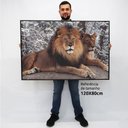 Ver imagem 2 de Quadro Decorativo em Canvas Leão e Leoa TaColado Moldura Flutuante 4,5cm Freijó 120 x 80cm