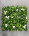 Ver imagem 5 de Painel Jardim Vertical Artificial Decoração Sala 50x50cm