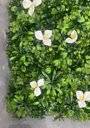 Ver imagem 6 de Painel Jardim Vertical Artificial Decoração Sala 50x50cm