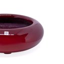 Ver imagem 3 de Vaso Bacia Decorativo Redondo Vermelho Lira M 13x40 cm - D’Rossi