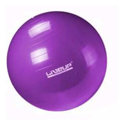 Bola Suiça Liveup Pilates Yoga Ginástica 55 cm e DVD