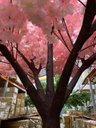 Ver imagem 3 de Árvore Artificial Cerejeira Realista Decoração Evento com 4m