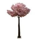 Ver imagem 1 de Árvore Artificial Cerejeira Realista Decoração Evento com 4m