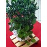 Suporte Para Vasos De Plantas Com Rodinhas 35x35 Cm - 3