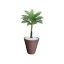 Ver imagem 1 de Planta Artificial Árvore Palmeira Real Toque 1,2m kit + Vaso Redondo D. Grafiato Marrom 40cm