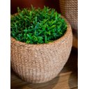 Ver imagem 2 de Vaso Decorativo Tramado em Cimento Marrom 13cm Cs0012 Btc