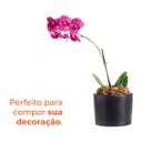 Ver imagem 4 de Vaso Gramado Pedra Terrano