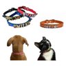 Coleira Cachorro ou Gato Personalizada com Nome Gold 8539-Coleira Pet Personalizada Preto - 6