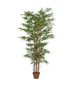 Ver imagem 1 de Planta Árvore Artificial Bambu Oriental Verde 1,8m