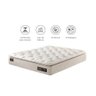 Colchão King NEWFLEX Super Molas Ensacadas 193X203 Premium Bege Newflex - 2