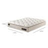 Colchão King NEWFLEX Super Molas Ensacadas 193X203 Premium Bege Newflex - 3