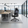 Cadeira de Escritorio Ergonômica Presidente Nr17 Modelo Ergopro One:preto - 2