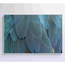 Ver imagem 6 de Quadro Penas Azuis 90x60 Cm Adesivo Fotográfico
