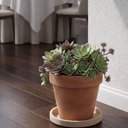 Ver imagem 5 de Kit 4 Pratos Médios para Vaso de Planta Granito Areia Tramontina Jardim Flor