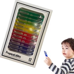 12 Peças de Lâminas Preparadas para Microscópio Educativo Infantil Ensino Crianças Lorben - 6