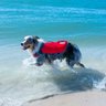 Colete Salva Vidas Dawson Swin Outward Hound Máxima Flutuação para Cães Dawson Swim Dog Life Jacket - 3